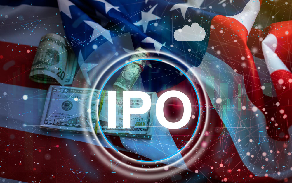 Initial Public Offering (IPO)